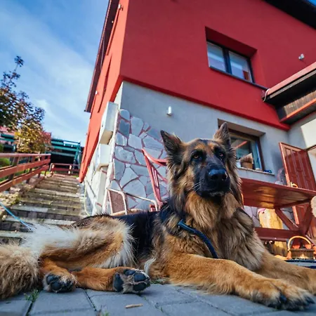 Homestay Dom Na Szlaku Wisla